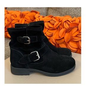 Steve Madden Shoes Steve Madden Alick Black Suede Moto Buckle